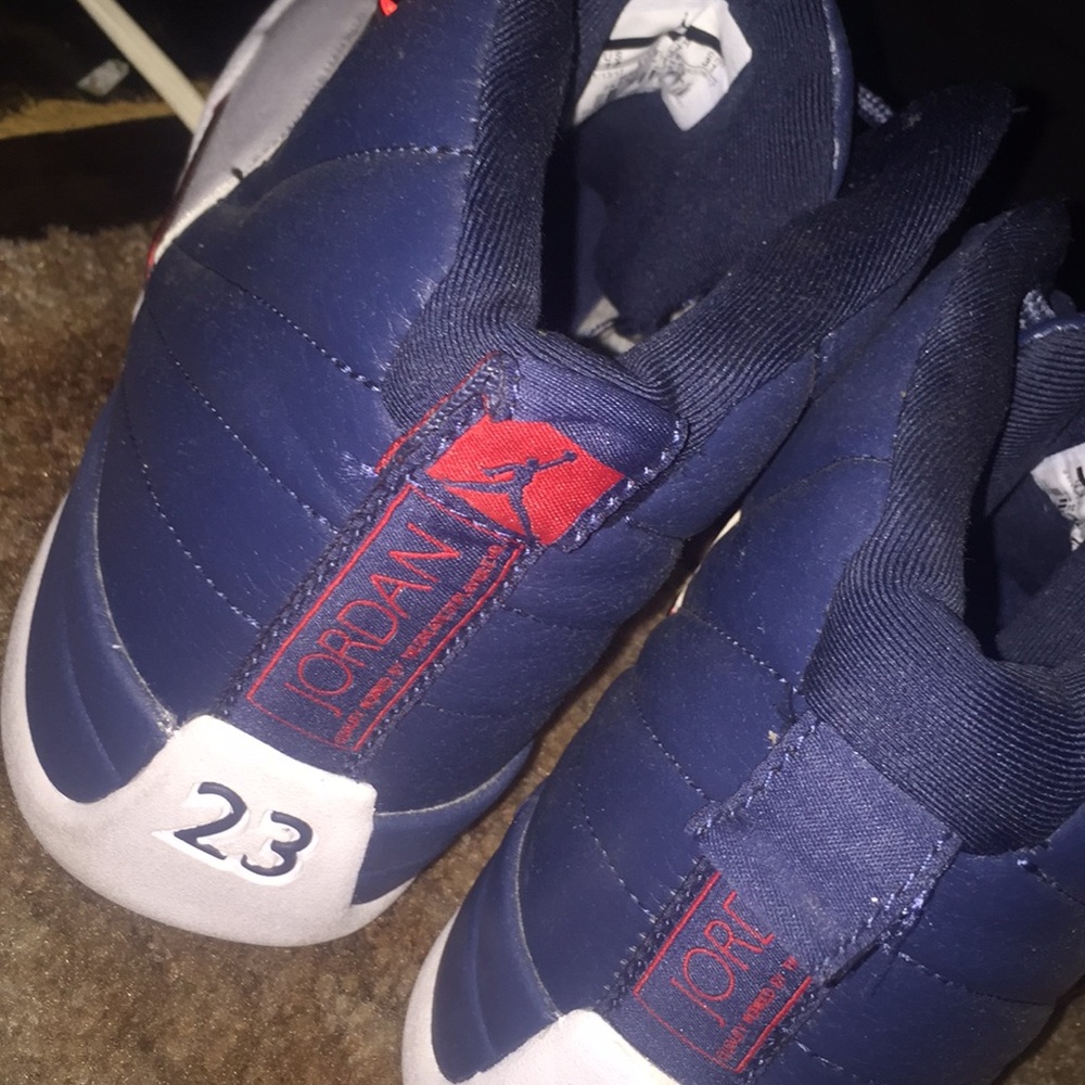 Custom Jordan 12